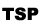 TSP DataCenter Logo